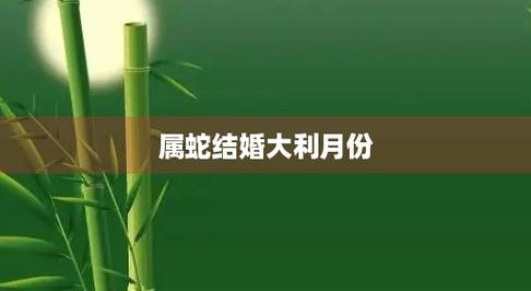 前任结婚,属蛇会是什么感受