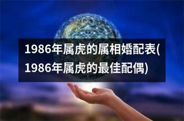 86年属虎男婚配情况
