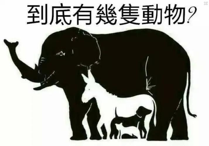 测你像哪种动物