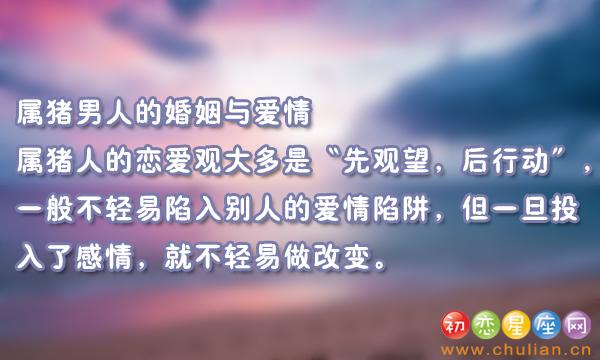 属猪男人的爱情观