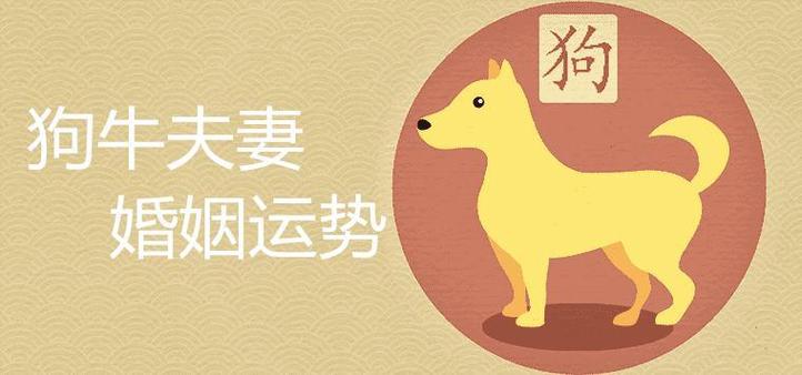 属狗女理想中男友是怎样的