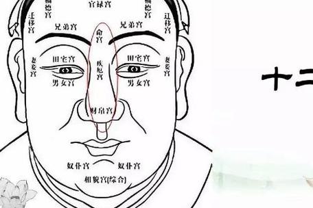 面相十二宫:财帛宫