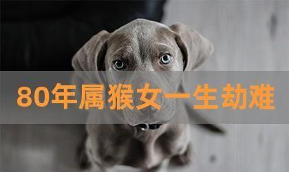 80年属猴最难熬年龄