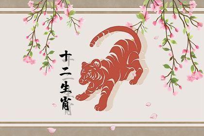九八年属虎2020的运势