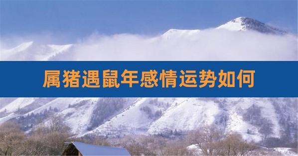 属猪人遇鼠年运势怎么样