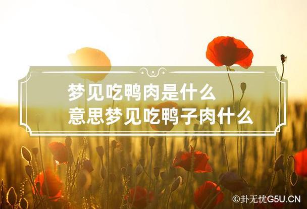 梦见和别人一起吃鸭肉是什么预兆