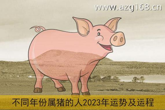 属猪的人性格运势怎么样?
