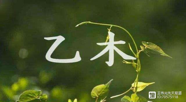 甲木见癸水一生富贵为什么