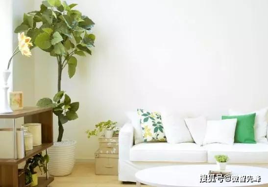 家里放假花风水有何不妥?会有什么影响?