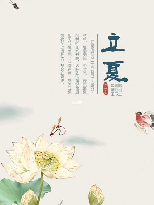 立夏出生的女孩小名好听的,2020年立夏宝宝命如何?