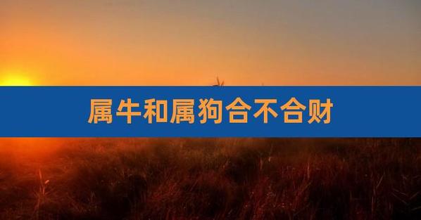 牛和狗做生意合不合财,合作需要注意什么