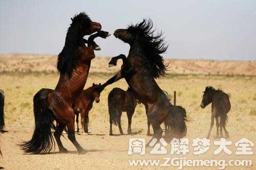 梦见很多人和马意味着什么