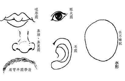 相学中水形人的特征
