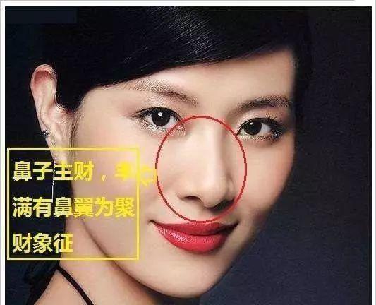 适合经商的鼻相
