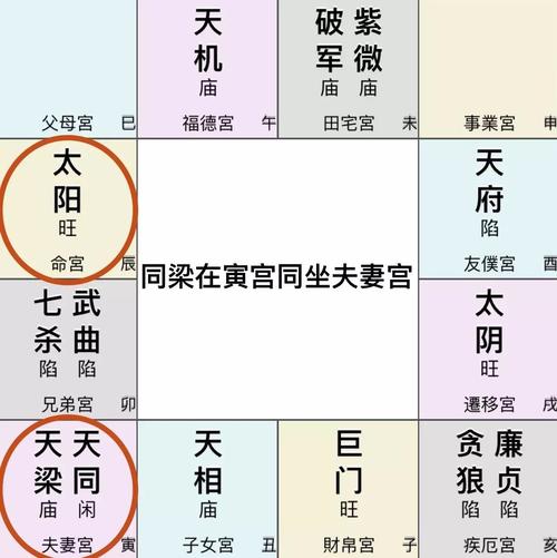 夫妻宫天同天梁看配偶