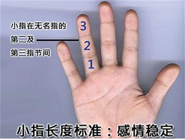 手指看相 中指长代表什么意思