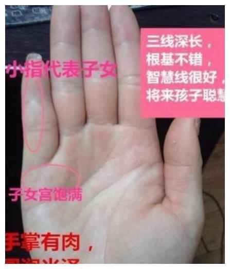 晚年儿女供养手相
