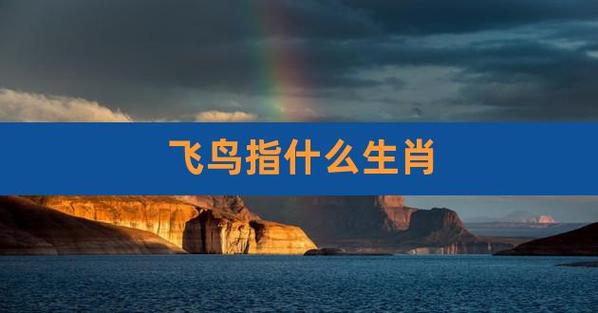 什么生肖代表着飞鸟