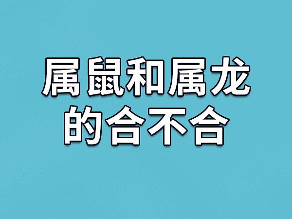 属鼠和属龙做生意可以合作吗