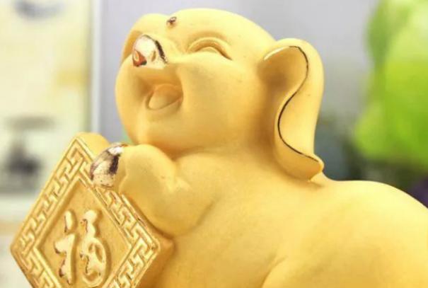男猪女兔能白头偕老吗?生肖猪不同月份出生命都怎么样?