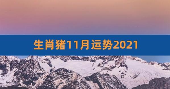 属猪人2021年11月健康运势详解