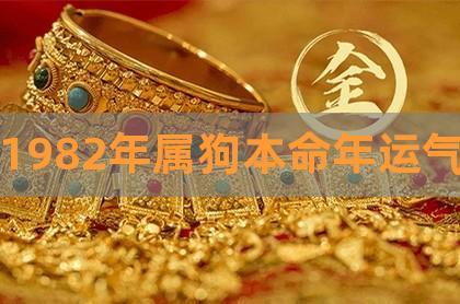 属狗本命年的大忌是什么