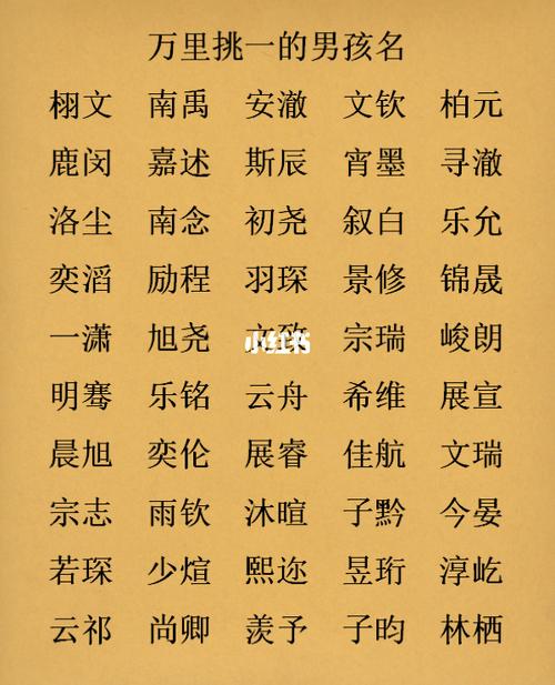 万姓男孩名字2023年5月24日出生的