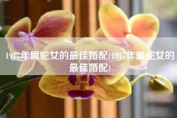 1977年属蛇人的婚姻