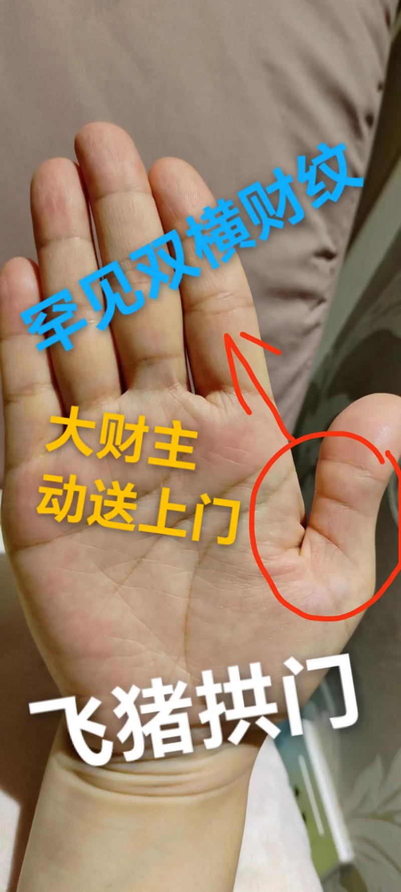 一个女人旺夫的手相怎么看