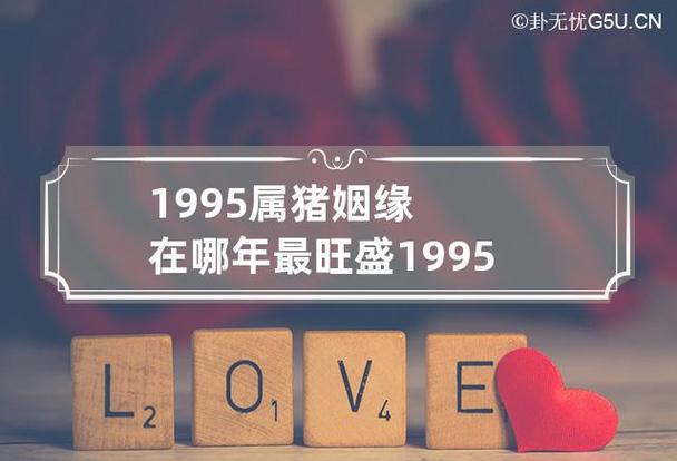 1995属猪姻缘在哪年最旺盛,红线姻缘运在虎年龙年