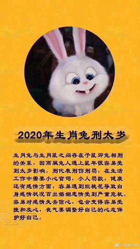 2020年十二生肖财运排行榜,这些人有大财!
