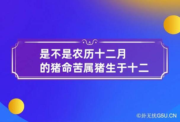 农历十二月的猪好命吗