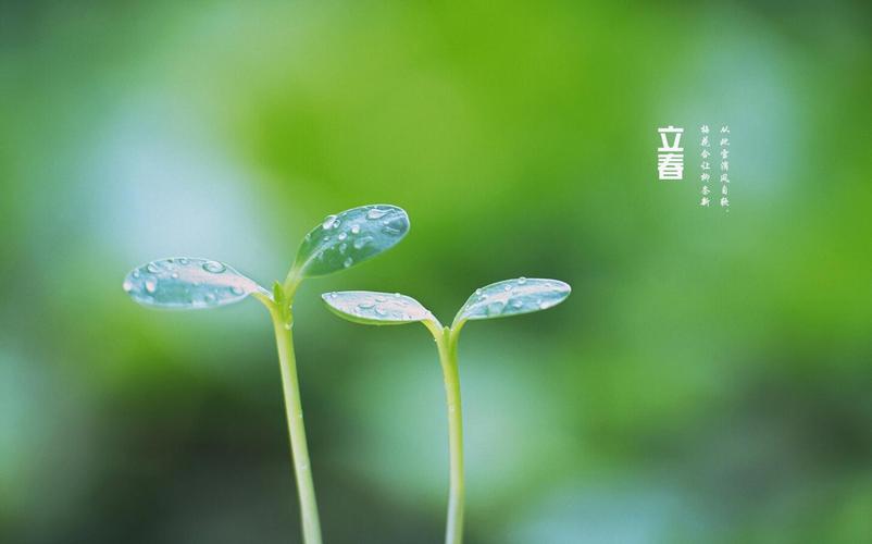 2021立春出生的宝宝适合带什么字