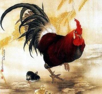 属鸡随机应变的本领有多高
