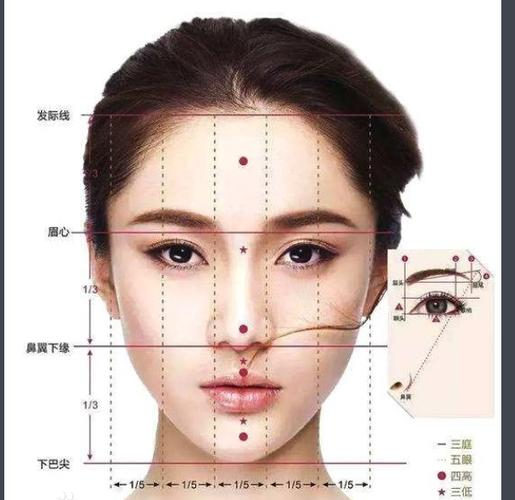 面相三庭是什么