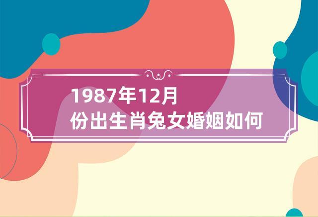 1987属兔情感婚姻
