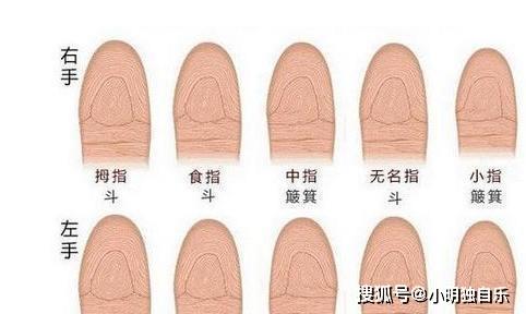 女人手上有六个斗是什么意义