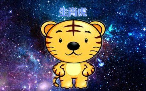 属虎的2019年生猪宝宝好不好