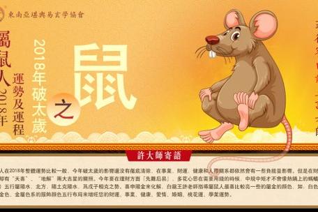 属相鼠和属相鼠般配吗