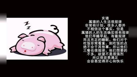 细数自控能力差的几大生肖