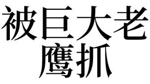 梦见抓住老鹰是什么意思