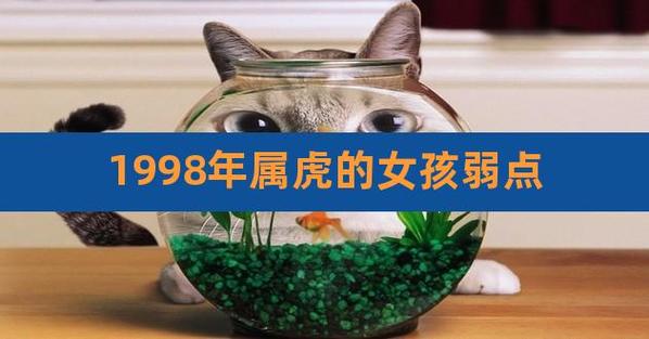 1998年属虎的女孩弱点