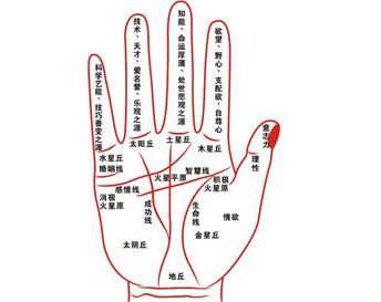 手相图解大全女