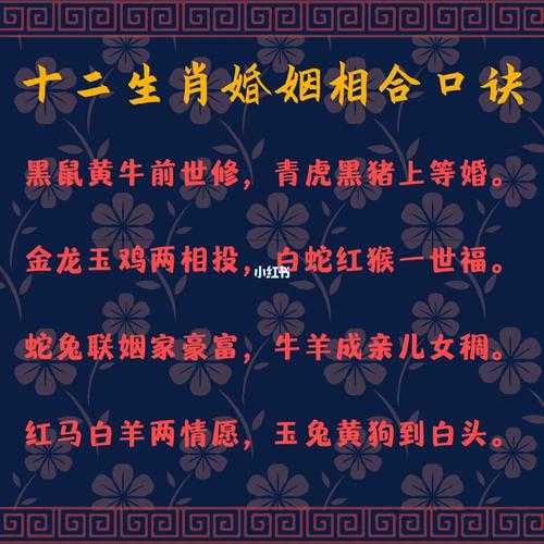 十二生肖合婚口诀