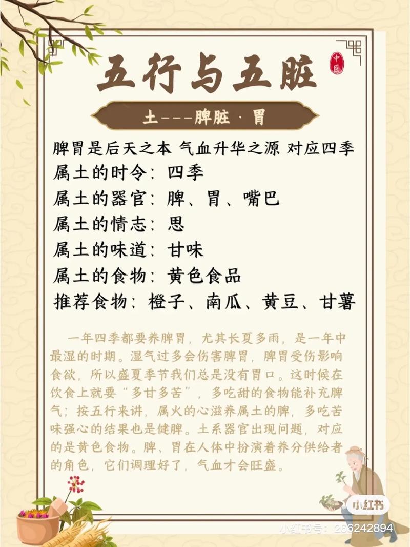 如何认识与运用你的五行?