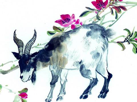 生来就享福的生肖