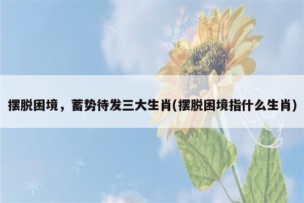 2月摆脱困境,蓄势待发三大生肖