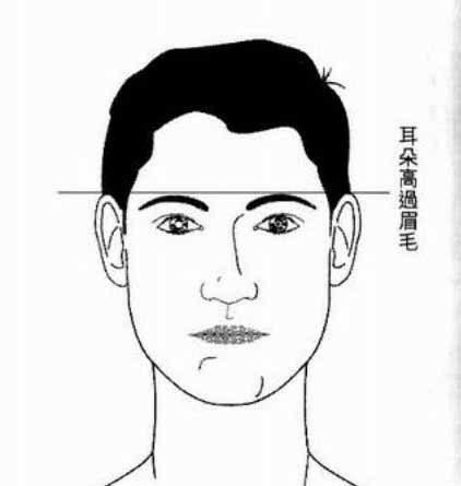 耳眉齐高的面相