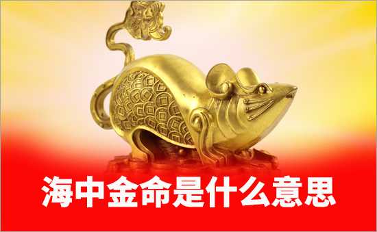 海中金命缺什么