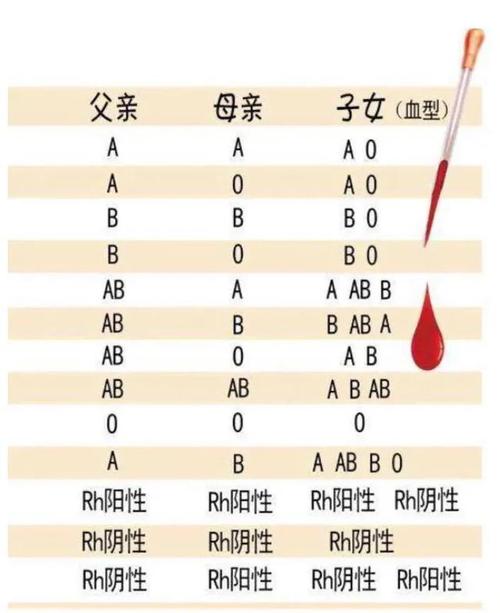 如何查询个人血型